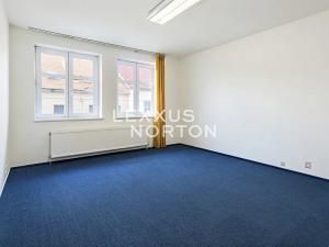 Prodej rodinného domu, Roudnice nad Labem, Dr. Slavíka, 300 m2