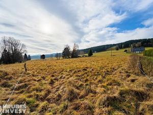 Prodej pozemku pro bydlení, Orlické Záhoří, 4018 m2