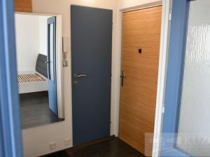 Pronájem bytu 1+1, Plzeň, Tachovská, 39 m2