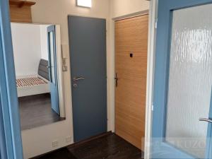 Pronájem bytu 1+1, Plzeň, Tachovská, 39 m2