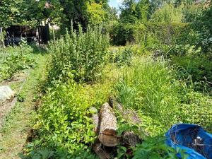 Prodej bytu 2+kk, Brno, Slovinská, 123 m2