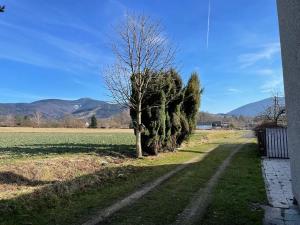 Prodej rodinného domu, Frýdlant nad Ostravicí, 170 m2