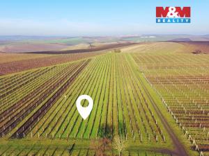 Prodej pole, Velké Bílovice, 3600 m2