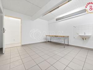 Prodej obchodního prostoru, Brno, Lidická, 172 m2