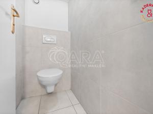 Prodej obchodního prostoru, Brno, Lidická, 172 m2