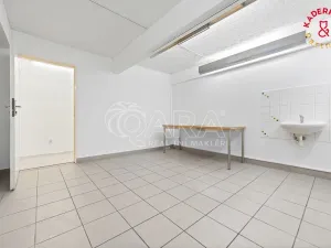 Prodej obchodního prostoru, Brno, Lidická, 172 m2