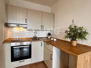 Pronájem bytu 1+kk, Ostrava, Francouzská, 29 m2