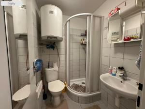 Prodej bytu 1+kk, Brno - Černovice, Olomoucká, 20 m2