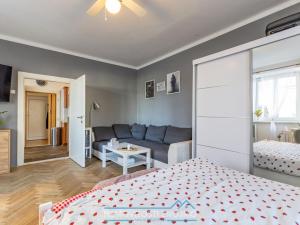 Prodej bytu 1+1, Znojmo, Palliardiho, 44 m2