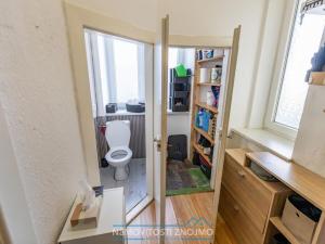 Prodej bytu 1+1, Znojmo, Palliardiho, 44 m2