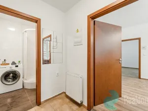 Prodej bytu 2+kk, Praha - Žižkov, U kněžské louky, 43 m2