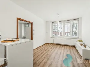 Prodej bytu 2+kk, Praha - Žižkov, U kněžské louky, 43 m2