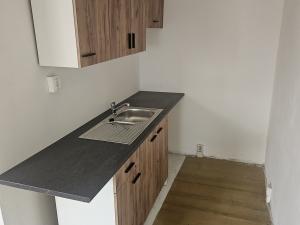 Pronájem bytu 1+kk, Teplice, Krušnohorská, 34 m2