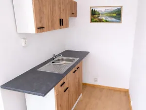 Pronájem bytu 1+kk, Teplice, Krušnohorská, 34 m2