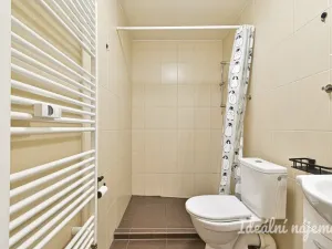 Pronájem bytu 2+kk, Brno - Židenice, Slevačská, 40 m2