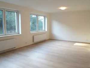 Pronájem bytu 3+kk, Brno, Vídeňská, 100 m2