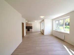 Pronájem bytu 3+kk, Brno, Vídeňská, 100 m2