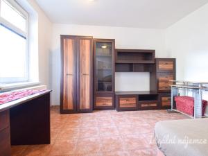 Pronájem bytu 1+kk, Brno, Mlýnské nábřeží, 29 m2