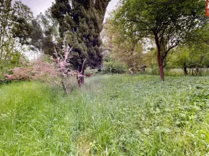 Prodej rodinného domu, Přerov, Čekyňská, 60 m2