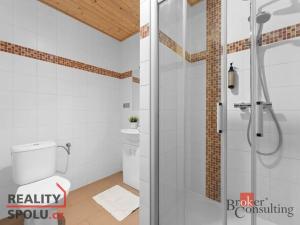 Prodej ubytování, Strážné, 650 m2