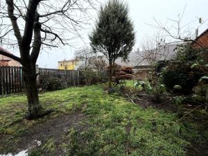 Pronájem rodinného domu, Radnice, Ke Skomelnu, 72 m2