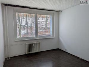 Pronájem bytu 4+1, Litvínov - Janov, Luční, 90 m2
