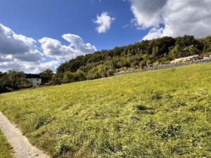 Prodej pozemku pro bydlení, Děčín, V Lukách, 1450 m2