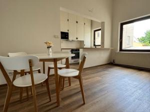 Pronájem bytu 2+kk, Chomutov, Revoluční, 55 m2