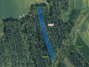 Dražba lesa, Koloveč, 3368 m2