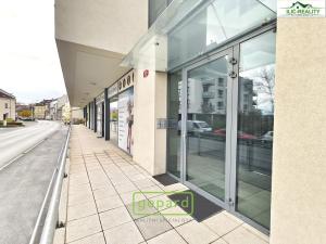 Pronájem bytu 3+kk, Plzeň, Na Roudné, 100 m2