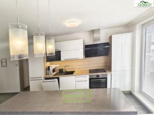 Pronájem bytu 3+kk, Plzeň, Na Roudné, 100 m2