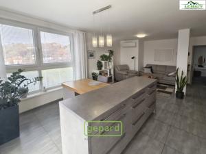 Pronájem bytu 3+kk, Plzeň, Na Roudné, 100 m2