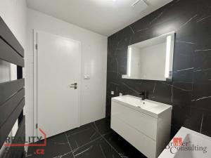 Pronájem bytu 2+kk, Plzeň - Jižní Předměstí, Železná, 75 m2