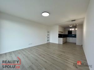 Pronájem bytu 2+kk, Plzeň - Jižní Předměstí, Železná, 75 m2