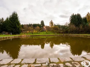 Prodej pozemku pro bydlení, Petrovice II - Staré Nespeřice, 1781 m2