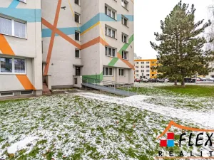 Prodej bytu 1+kk, Orlová - Lutyně, Osvobození, 31 m2