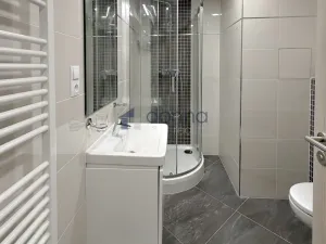 Pronájem bytu 1+kk, Praha, Do zahrádek I, 32 m2