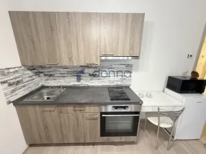 Pronájem bytu 1+kk, Praha, Do zahrádek I, 32 m2