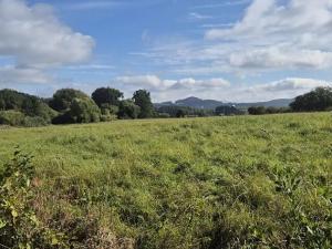 Prodej pozemku pro bydlení, Jestřebí, 1898 m2