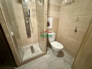 Prodej bytu 2+kk, Litvínov - Janov, Hamerská, 41 m2