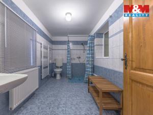 Prodej chalupy, Vysoké nad Jizerou - Horní Tříč, 250 m2