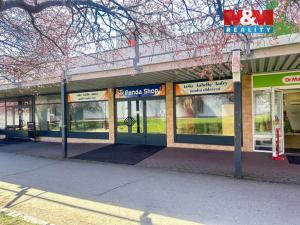 Pronájem obchodního prostoru, Mladá Boleslav - Mladá Boleslav II, Krátká, 265 m2