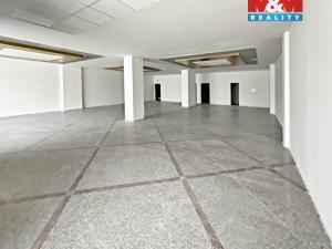 Pronájem obchodního prostoru, Mladá Boleslav - Mladá Boleslav II, Krátká, 265 m2