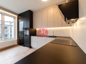 Pronájem bytu 3+kk, Ostrava, F. X. Riepla, 74 m2