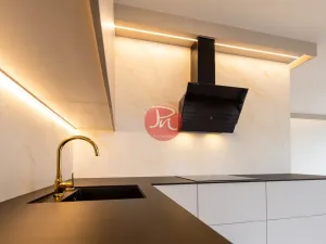 Pronájem bytu 3+kk, Ostrava, F. X. Riepla, 74 m2