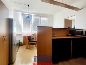 Pronájem bytu 1+1, České Budějovice, J. Buděšínského, 38 m2