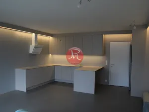 Pronájem bytu 2+kk, Ostrava, F. X. Riepla, 60 m2