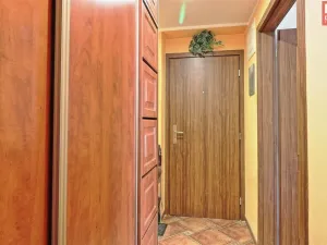 Prodej bytu 2+1, Olomouc, Wolkerova, 50 m2