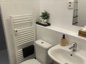 Pronájem bytu 2+kk, Olomouc - Hodolany, Březinova, 52 m2