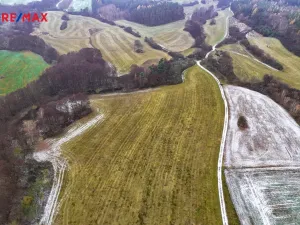 Prodej pole, Radětice, 30733 m2